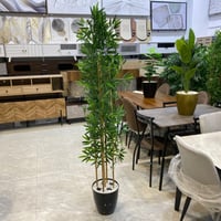 نبات صناعي مع اصيص اسود - 170 سم