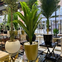 نبات صناعي - 100 سم