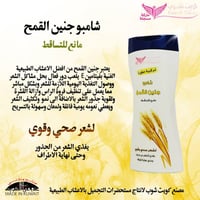 شامبو جنين القمح من كويت شوب