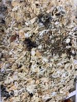 بهارات بيضاء حب