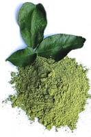 سدر المدينه مطحون