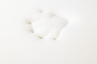 لباد طبي ميموري فوم ارتفاع 6 سم لراحة الظهر والجسم...