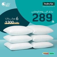 بكج اليوم الوطني مخدات فندقية مايكرو فايبر متوسطة...
