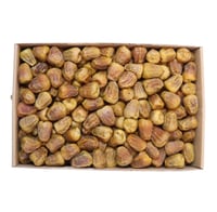 سكري مفتل 3 كيلو درجه أولى