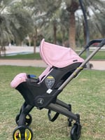 وردي