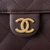 حقيبة شانيل هوبو مقاس صغير Chanel Hobo 25 Small