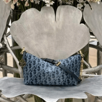 شنطة ديور ستار هوبو Dior Diorstar Hobo 28.5CM