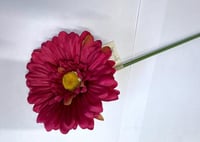 احمر غامق