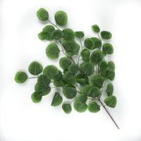 اغصان تنسيق صناعية يوكليبتوس