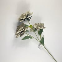 رمادي