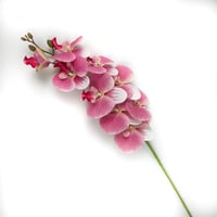 اوركيد صناعي