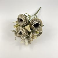 باقة ورد منغوليا قطيفة بألوان متنوعة