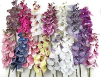 اوركيد صناعي