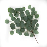 اغصان تنسيق صناعية يوكليبتوس