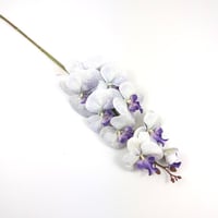 اوركيد صناعي