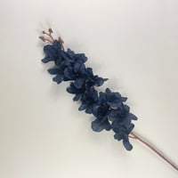 أوركيد صناعي ملون قطيفة أنيق