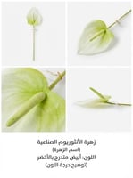 ابيض مع اخضر