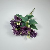 ورد بيبي جربيرا