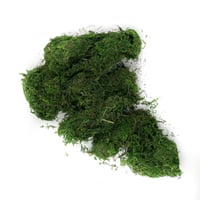عشب اخضر طبيعي (100 جرام)