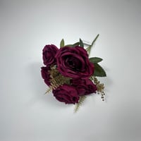 ورد بيبي روز