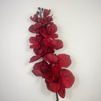 أوركيد قطيفة فاخرة بتصميم واقعي