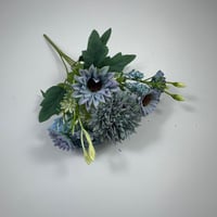 ورد بيبي جربيرا واقحوان