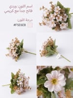 وردي فاتح