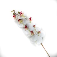 اوركيد صناعي