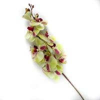 اوركيد صناعي