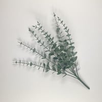 بانش يوكليبتوس صناعي