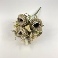 باقة ورد منغوليا قطيفة بألوان متنوعة