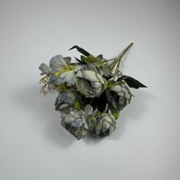 ورد بيبي بيوني