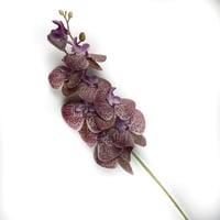 اوركيد صناعي