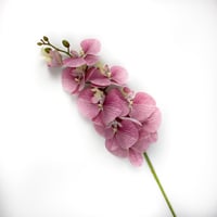 اوركيد صناعي