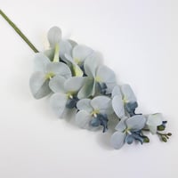 اوركيد صناعي