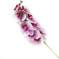 اوركيد صناعي