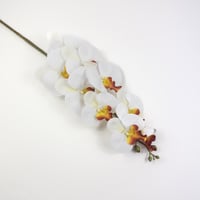 اوركيد صناعي