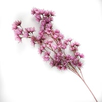 اغصان تنسيق صناعية