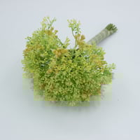 جبسوفيليا ملون