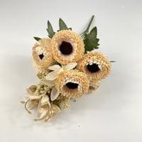 باقة ورد منغوليا قطيفة بألوان متنوعة