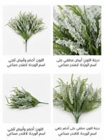 ابيض