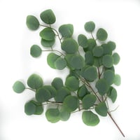 اغصان تنسيق صناعية يوكليبتوس