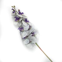 اوركيد صناعي