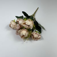 ورد بيبي بيوني