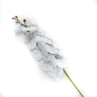 اوركيد صناعي