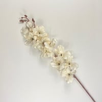 أوركيد صناعي ملون قطيفة أنيق