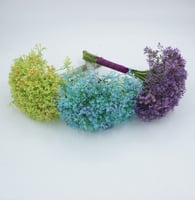 جبسوفيليا ملون