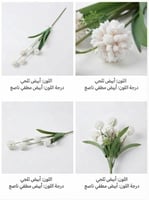 زهري فاتح