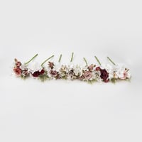 ورد بيبي بيوني