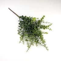 يوكليبتوس صناعي اخضر